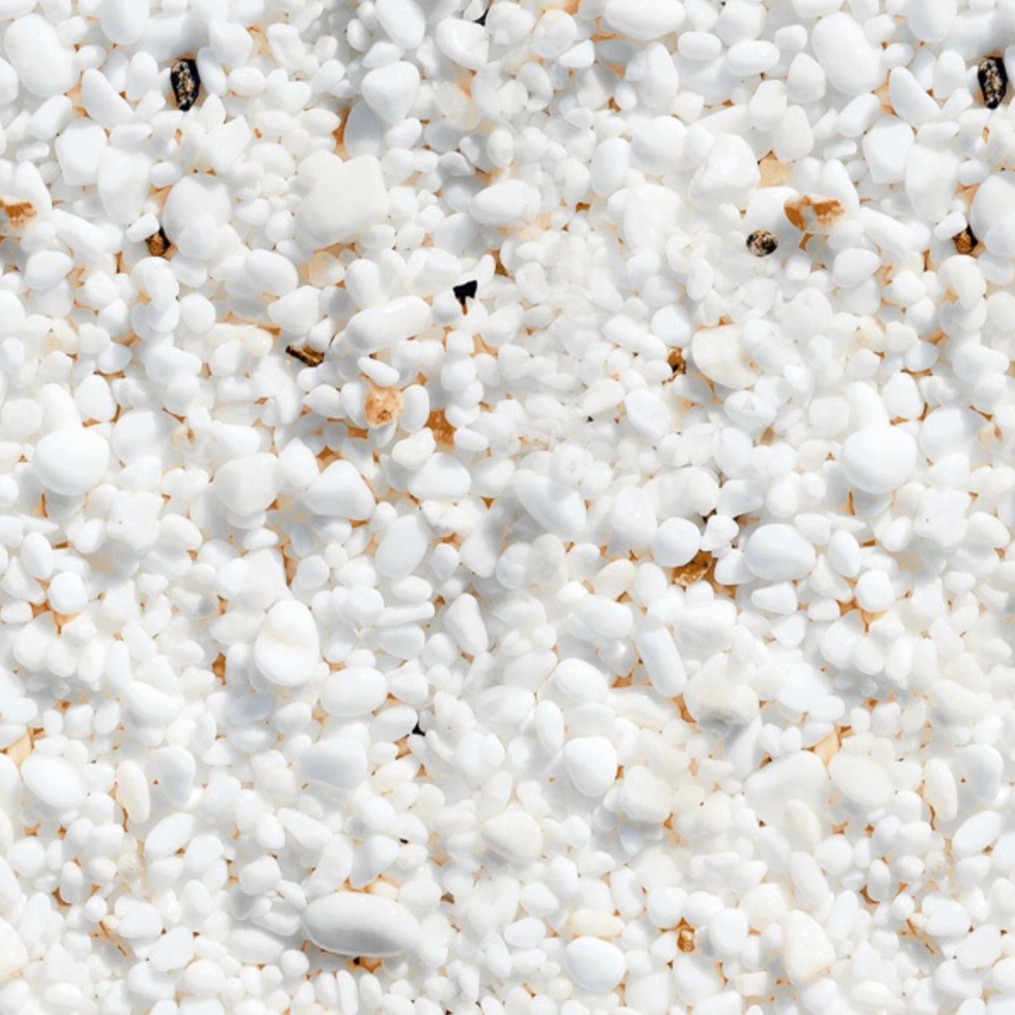 3D - PMG - 21 - intaglioceramica