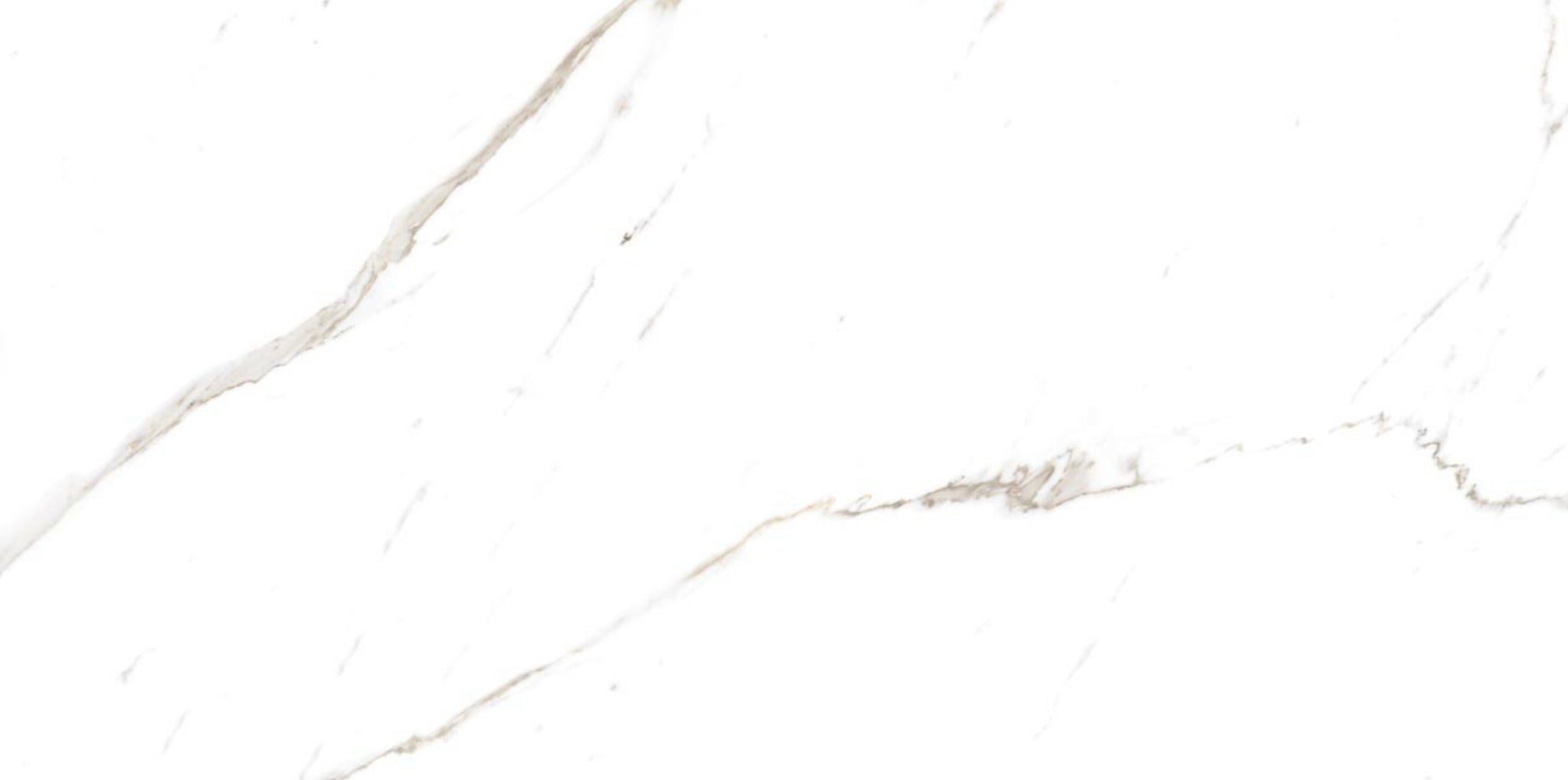 CARRARA BIANCO TILE
