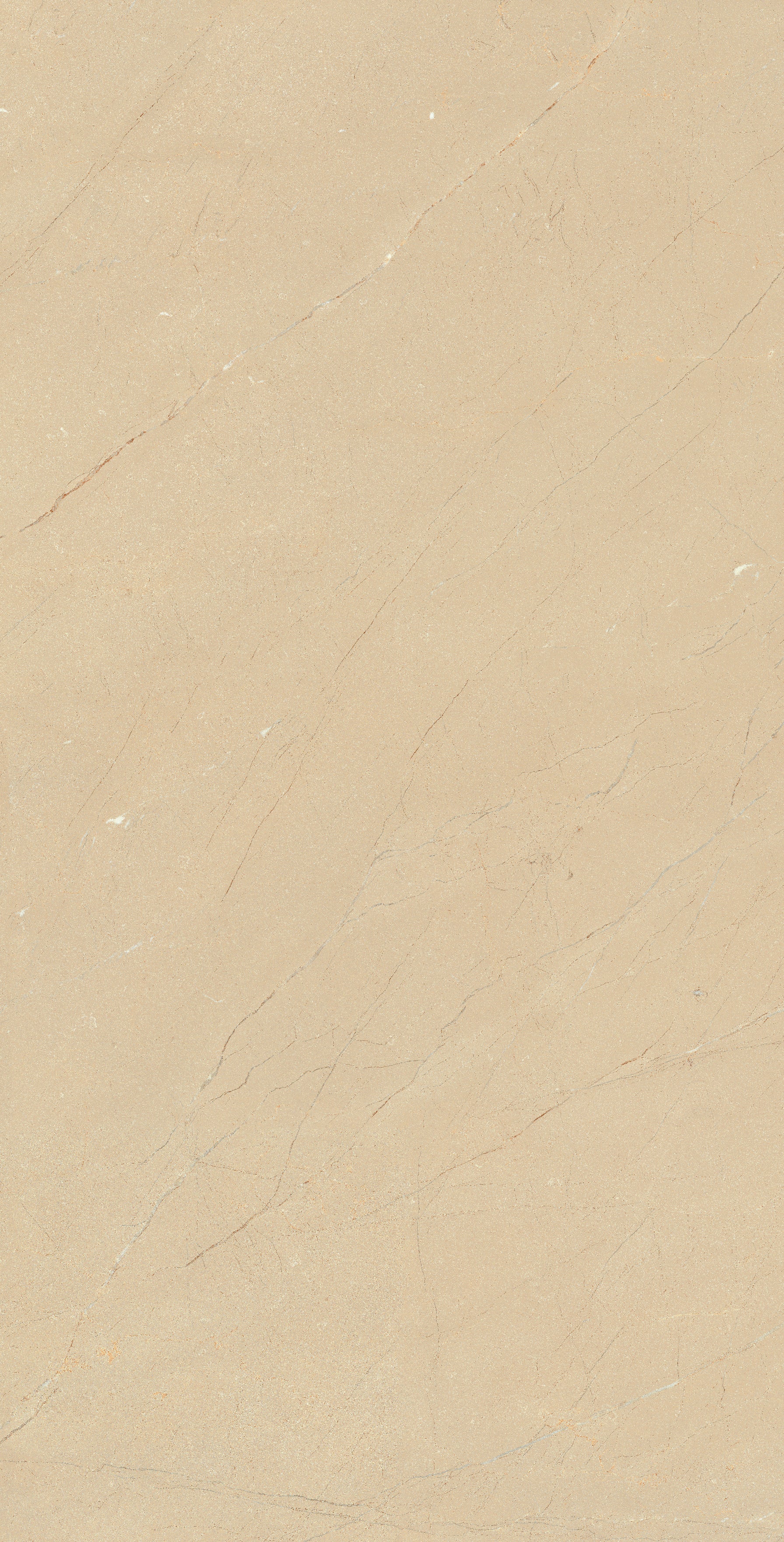 BURBERRY CREMA - intaglioceramica