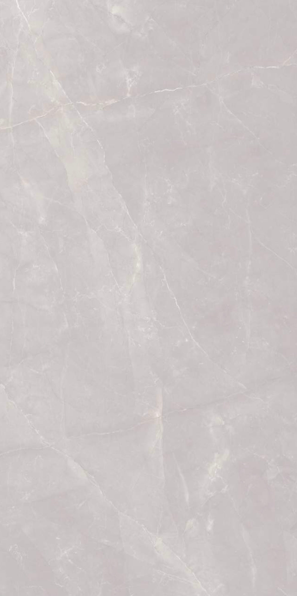 BOSCO GREY | PORCELAIN SLAB | PORCELAIN TILE | 1200X2400mm | 120X240cm | INTAGLIO 