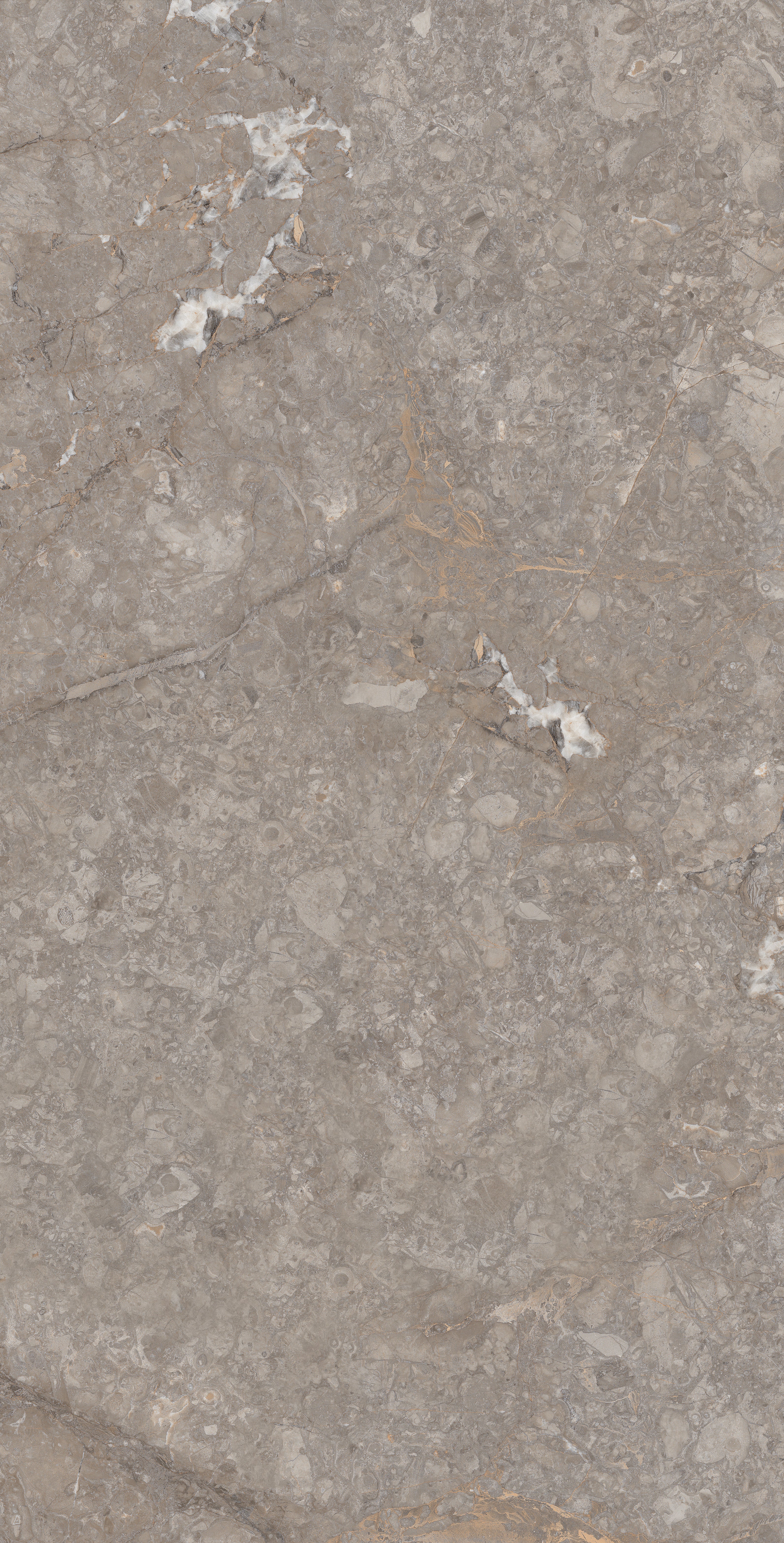 WILLIAM GREY - intaglioceramica